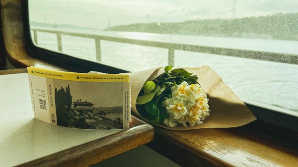 Quels sont les secrets pour une observation réussie des flamants roses dans le delta de l'Okavango, Botswana ?