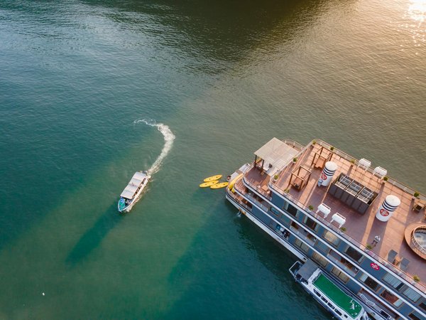 Peut-on trouver des croisières qui offrent des excursions pour observer les dauphins roses en Amazonie?